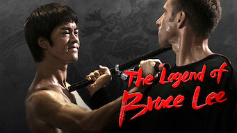 the legend of bruce lee 2008